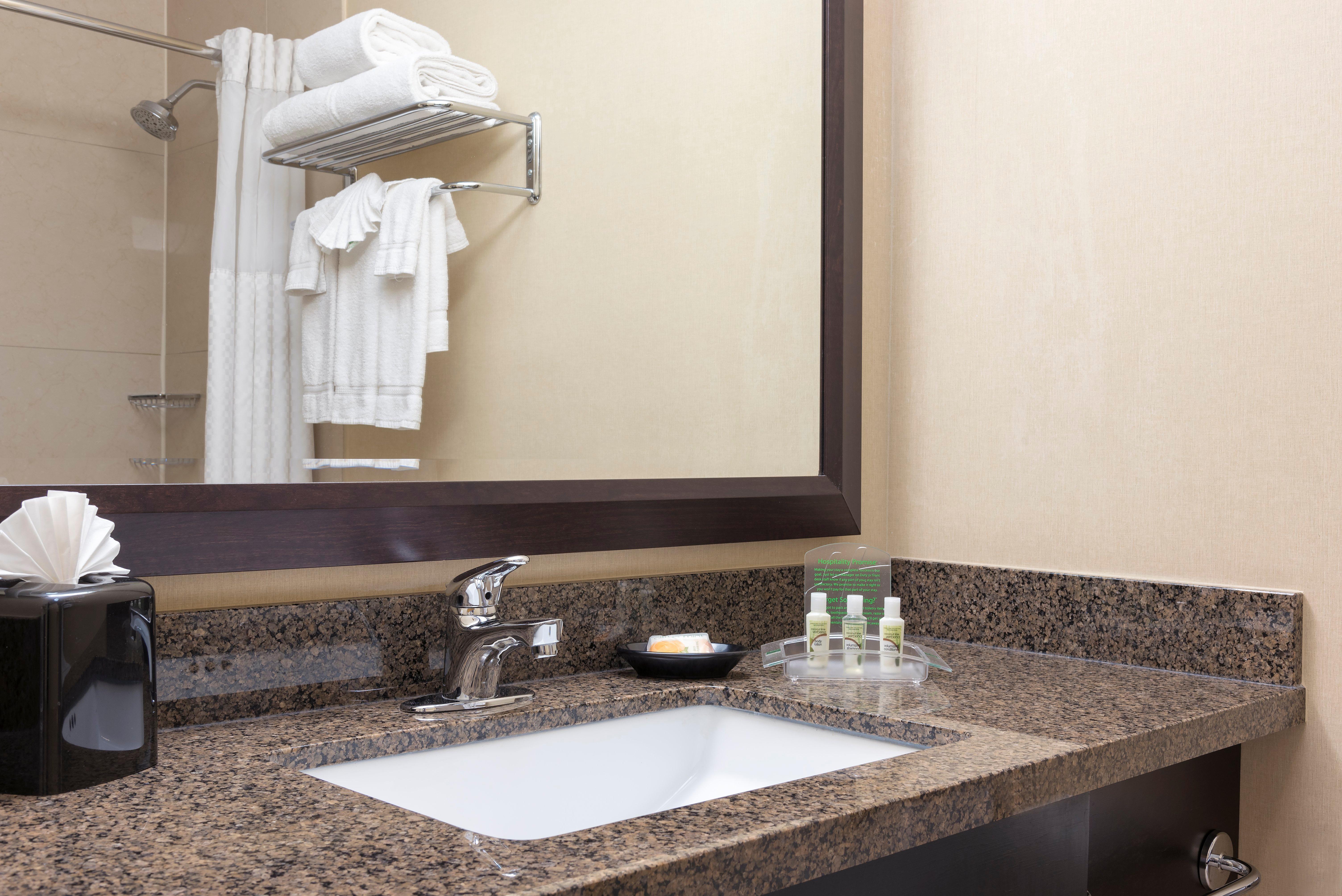 Holiday Inn Chicago - Elk Grove, An Ihg Hotel Elk Grove Village Zewnętrze zdjęcie